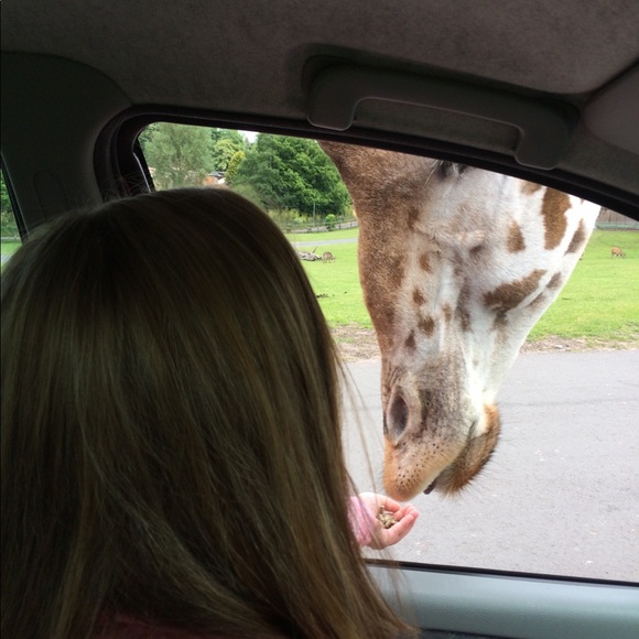 Meet your Posher, Courteney - Picture 3 of 5